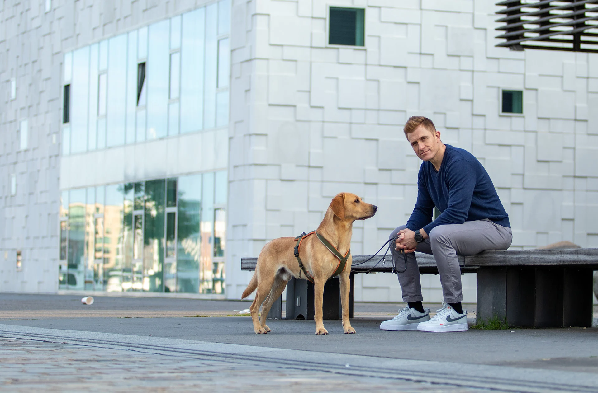 Hundetrainer mit IHK-Zertifikat