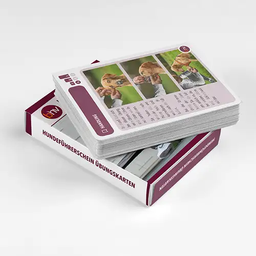 Übungskarten-Set zum Hundeführerschein